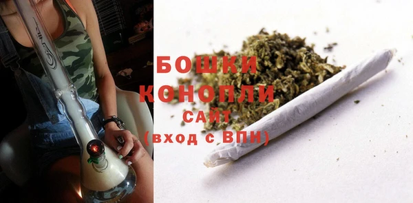 гидропоника Карпинск