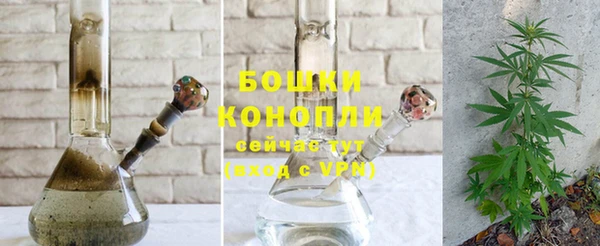гидропоника Карпинск