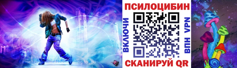 Купить  Боготол  Псилоцибиновые грибы Magic Shrooms 